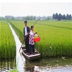 u=2019630942,2670927143&fm=26&gp=0_副本.jpg