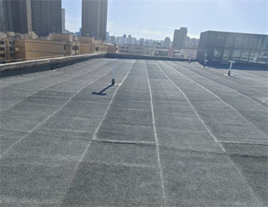微信截图_20250529000917.jpg